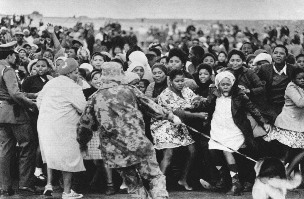 Black demonstrators cower from a police dog at Gugulethu township, near Cape Town, on August 12, 1976. Photograph: AP.